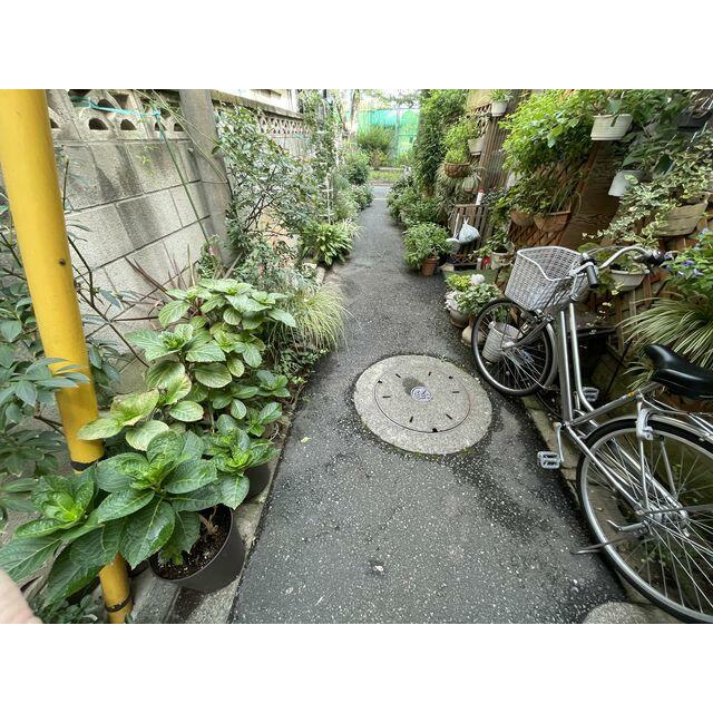 その他25