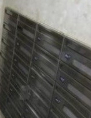 その他13