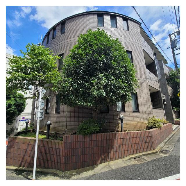 その他13