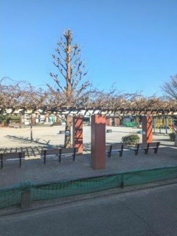 その他7