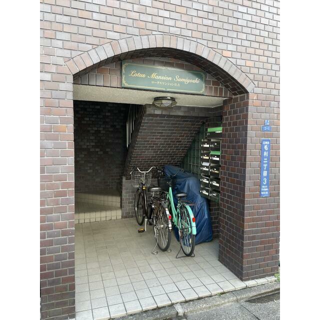 その他11