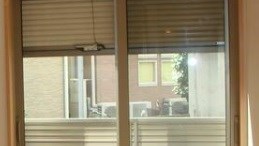その他10