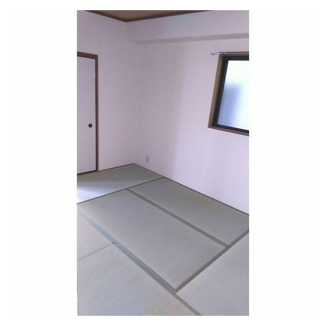 その他11
