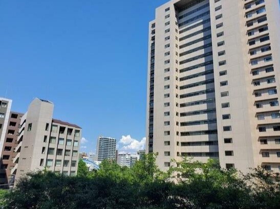 その他8
