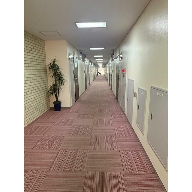 その他6
