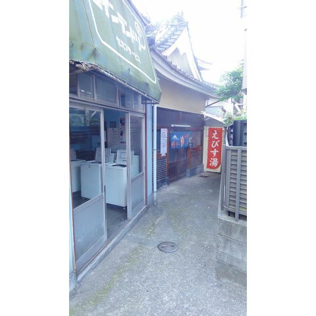 その他13