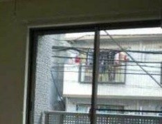 その他12