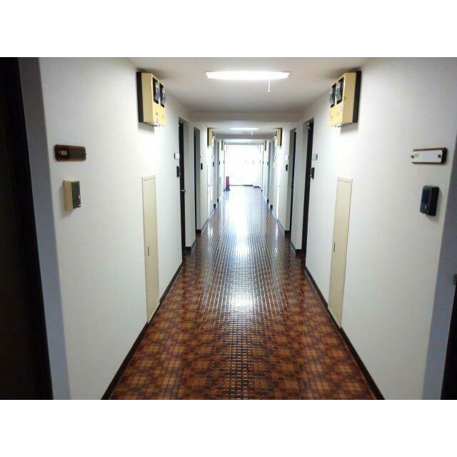 その他13