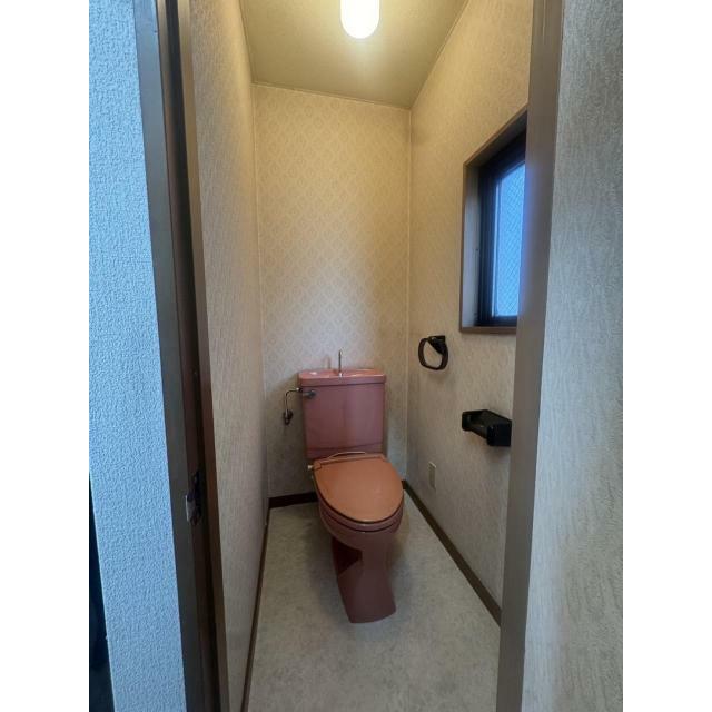 その他11