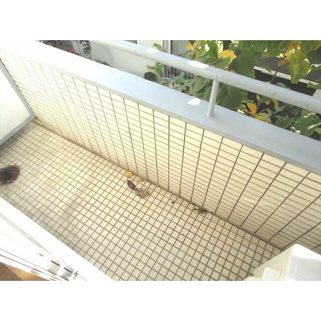 その他7