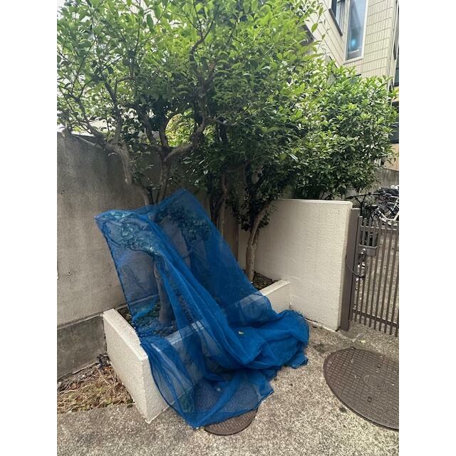 その他19
