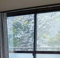 その他11