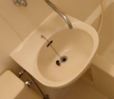 その他11