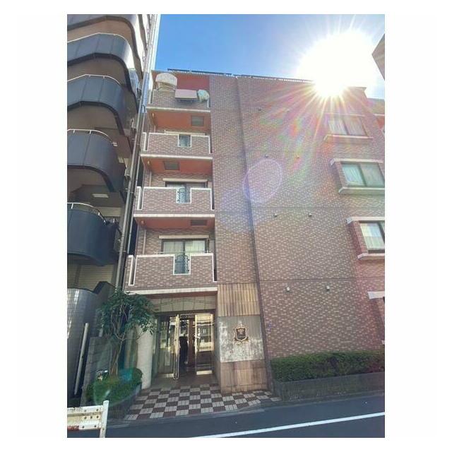その他13