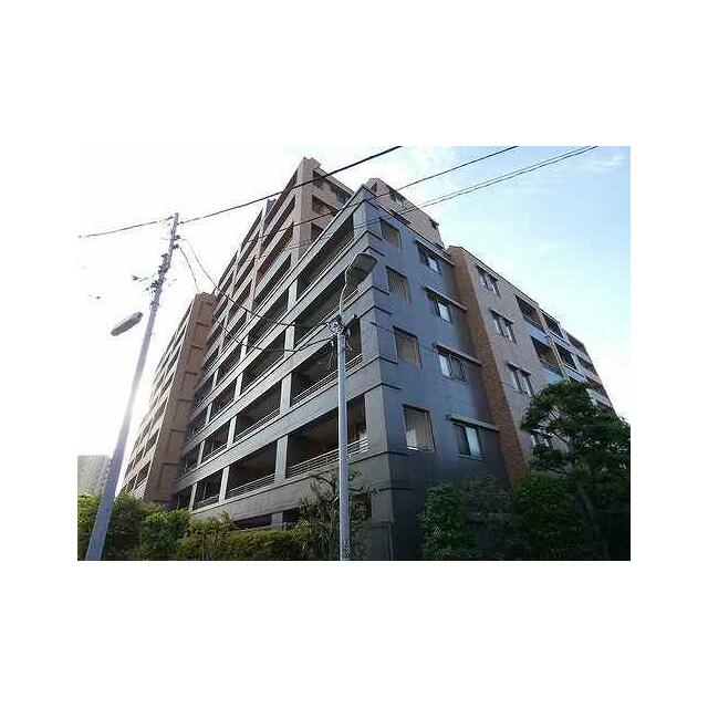 その他11
