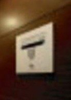 その他11