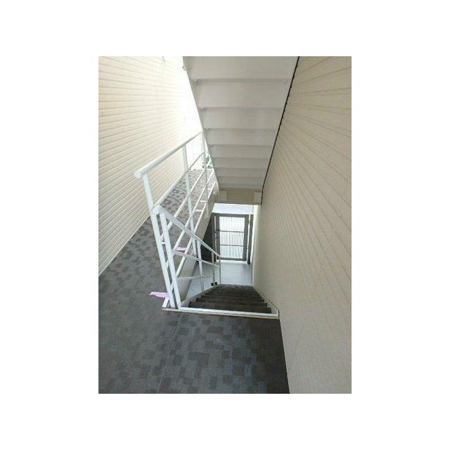 その他24