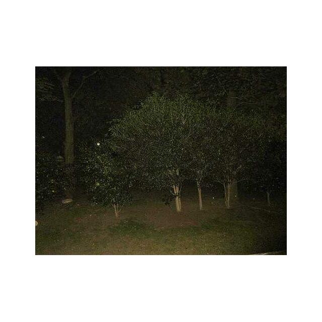 その他15