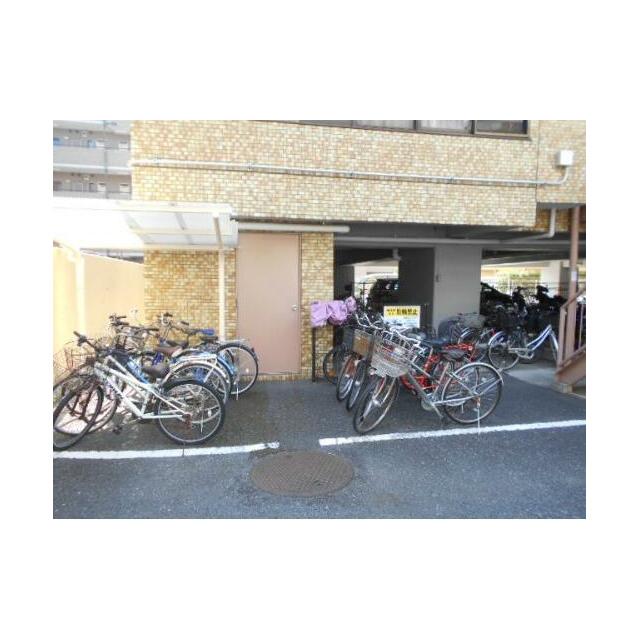 その他11