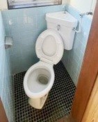 その他7