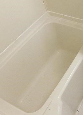 風呂画像