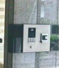 その他11