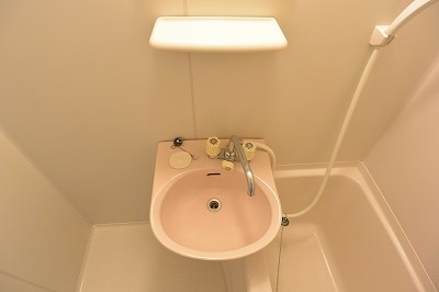 アイワマンション 洗面所