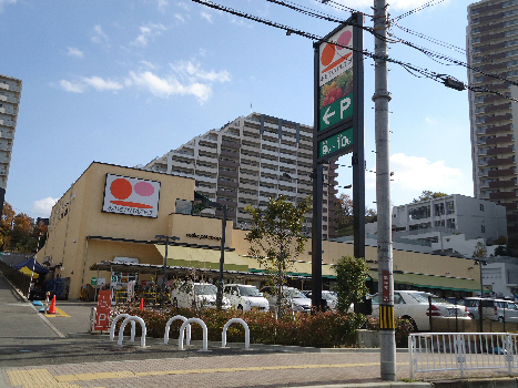 大阪府枚方市翠香園町 スーパー