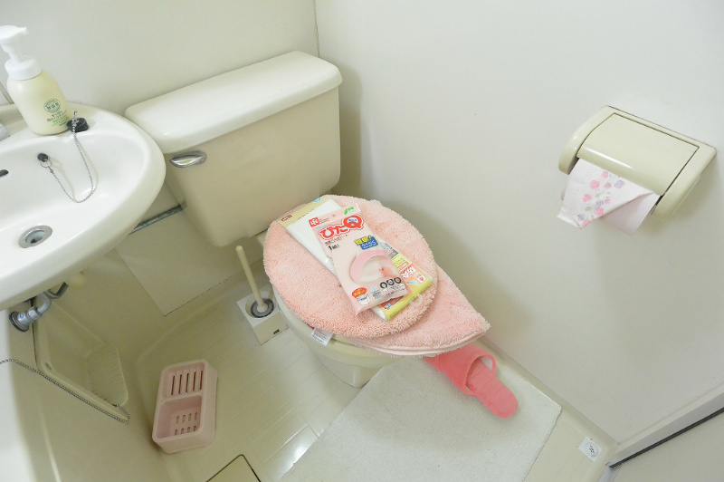 ハイツドメイン トイレ
