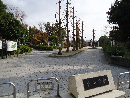シャトー堂山 公園