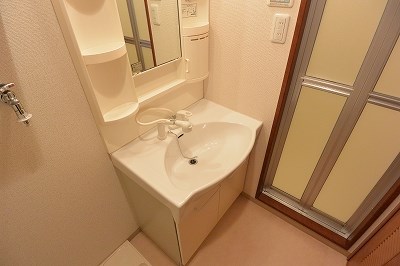 グリーンミモザ小林 洗面所