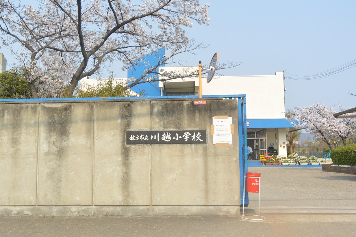 ウインズヒル 小学校