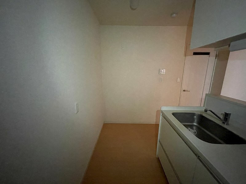 アクアムーン その他