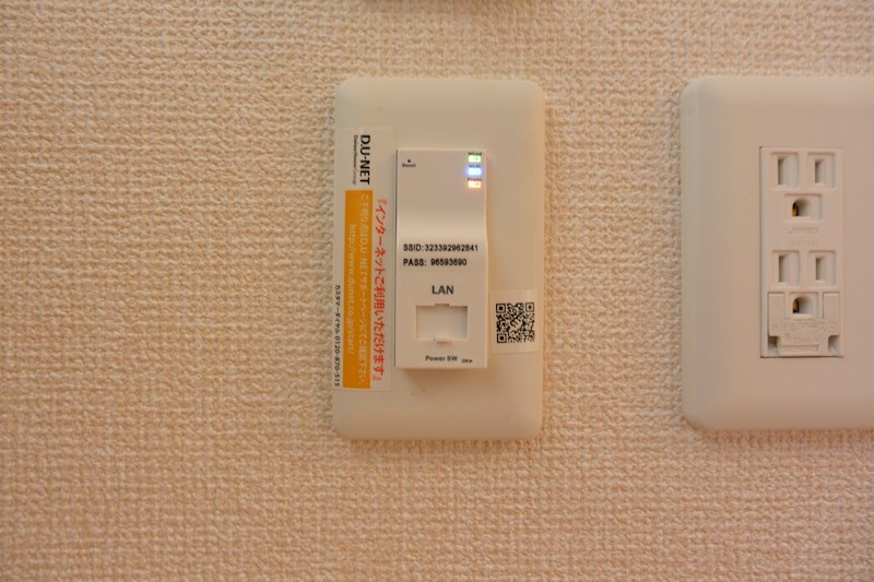 saint-fleur その他