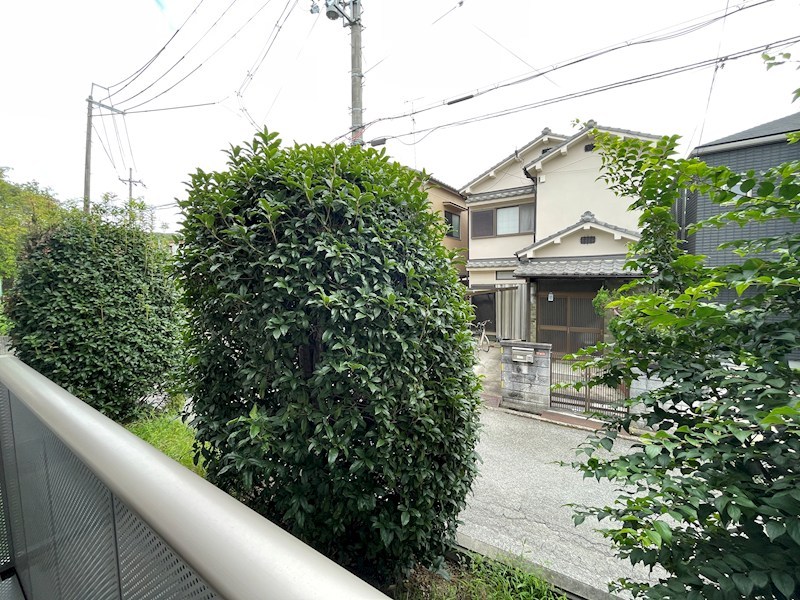 カーサベルデ 眺望