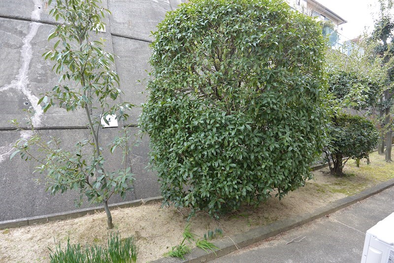 三都荘園 眺望