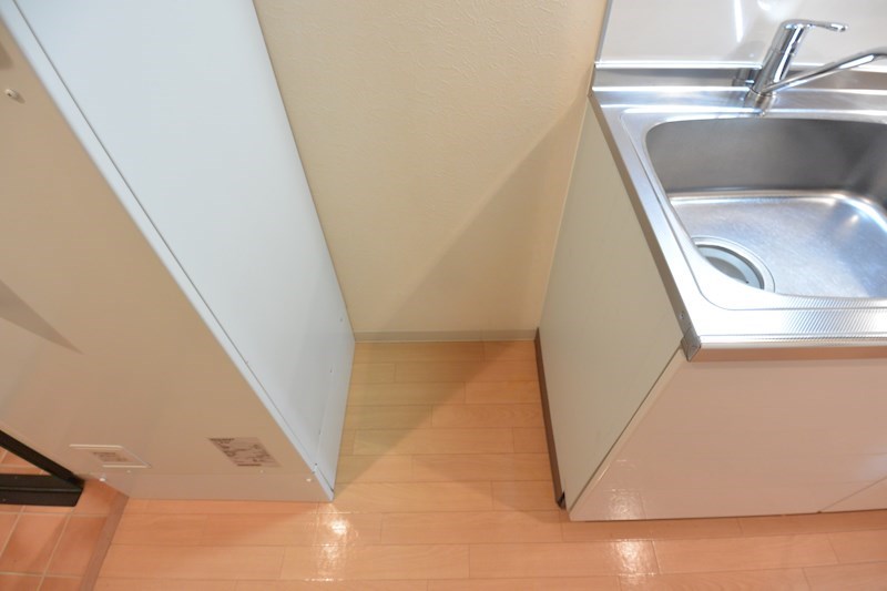 ヴァレーゼ その他