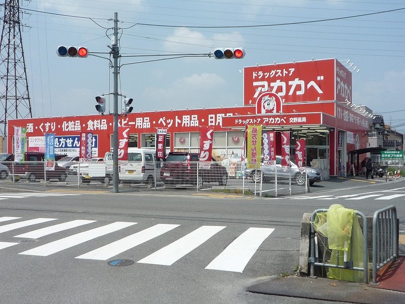 リバーサイドシトラス ドラッグストア