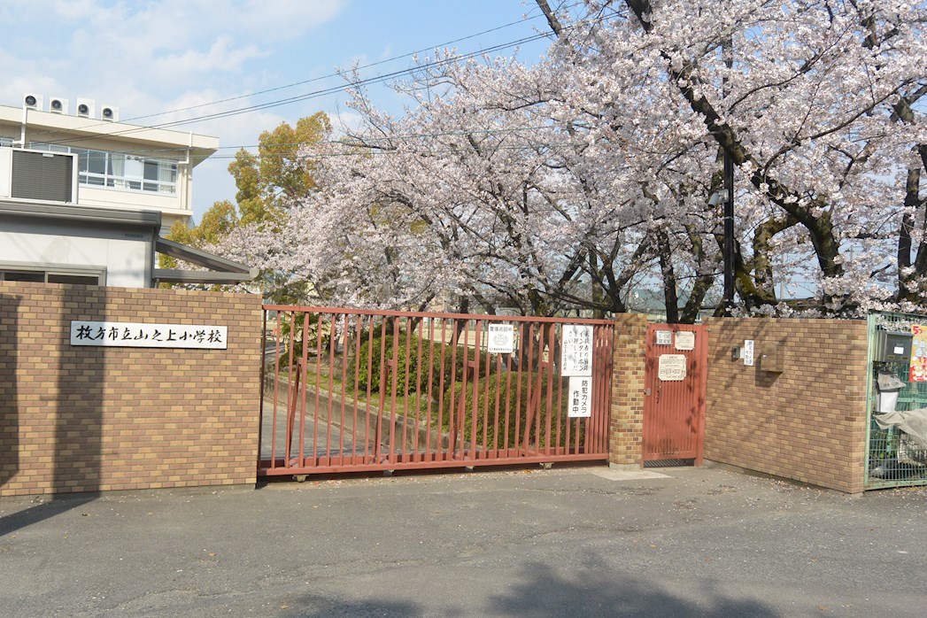 山之上テラスハウス 小学校