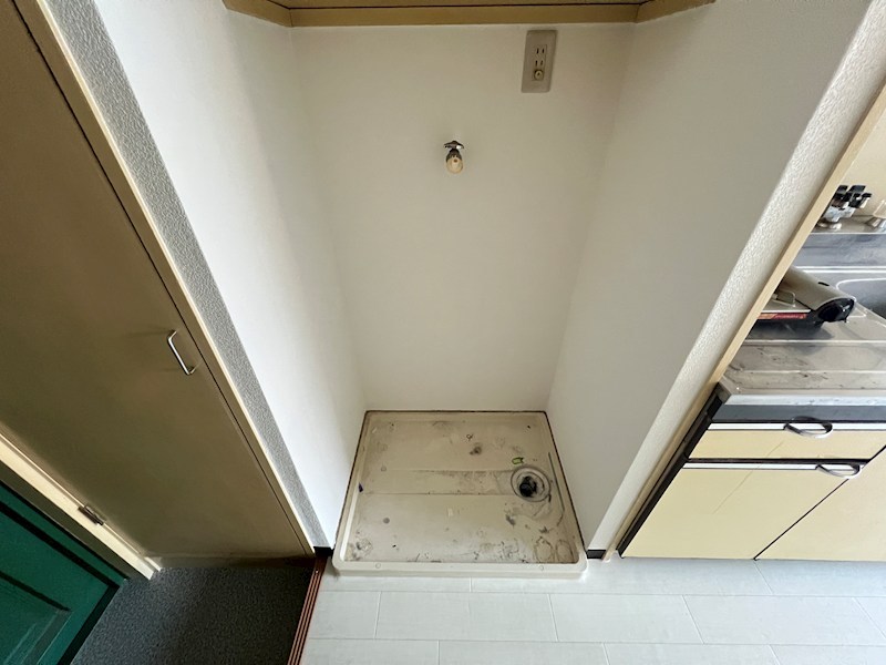カーサカトレア その他