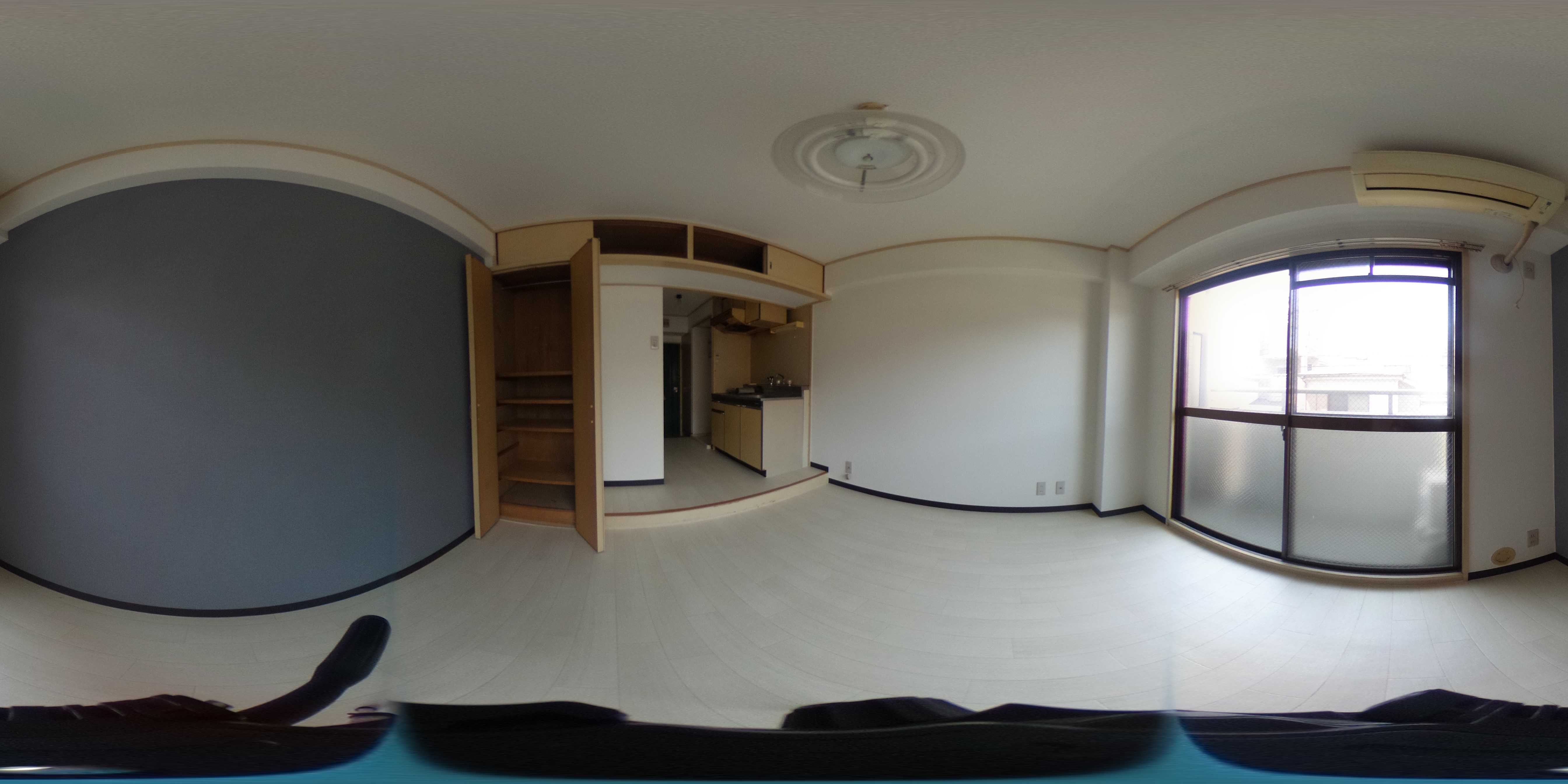 カーサカトレア その他