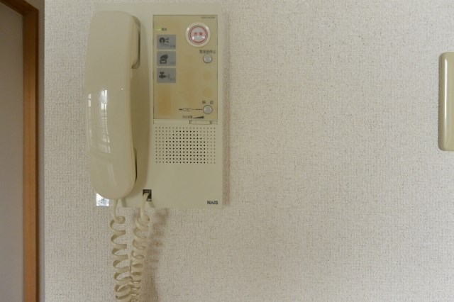 ダイヤパストラル セキュリティ