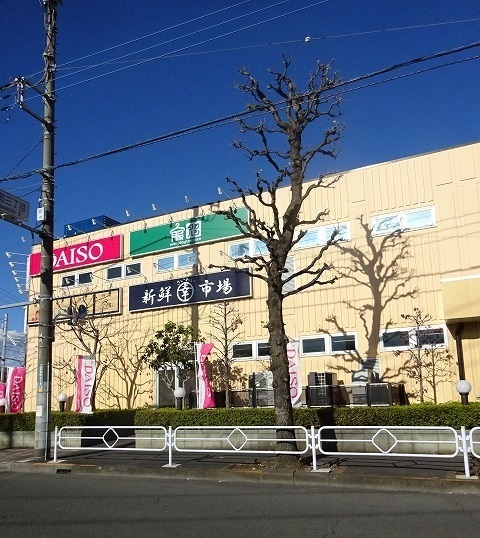 プレッソ・カスカータ その他
