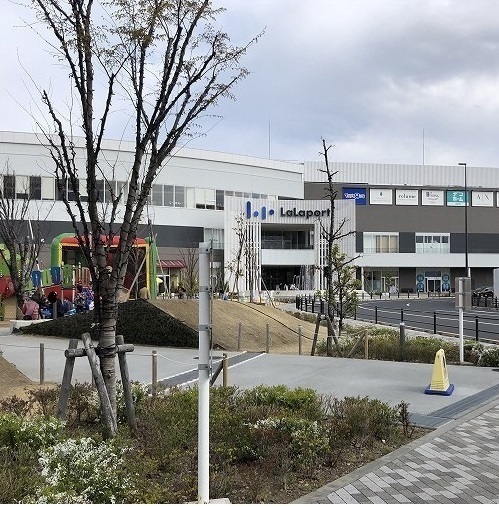 シエル その他