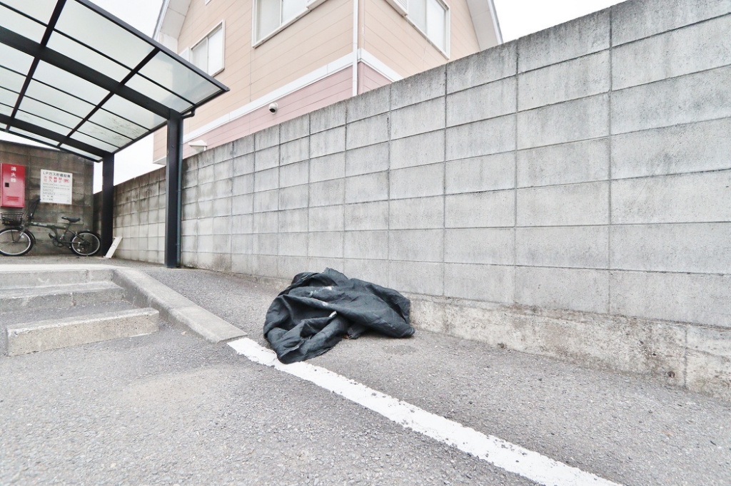 エクセレントクリア その他