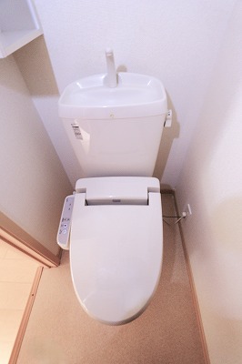 センス その他
