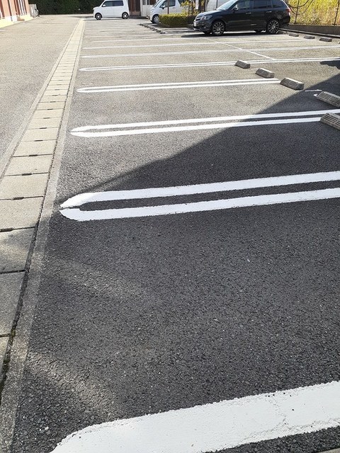 アンジェリカ　Ｂ その他