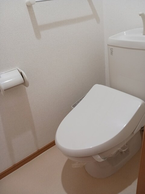 アンジェリカ　Ｂ その他