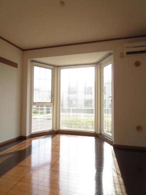 カトレア その他