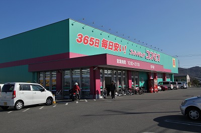 フリーデ その他